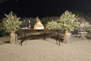 Pasticceria Ligabue - 8