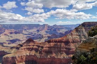 Travel Zone Agenzia di Viaggi - 10