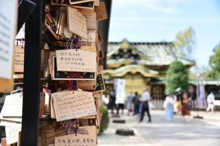 Maniaci dei Viaggi - 14