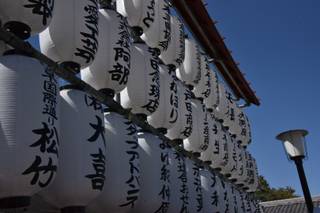 Maniaci dei Viaggi - 15