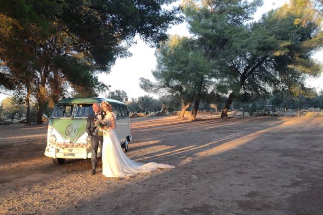 Pulmino e Maggiolino Cabrio Volkswagen 5