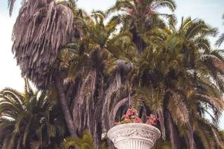 Mizuko Visual Studio - 10