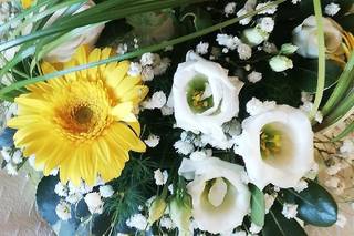 Il Giardino di Fabia - 11