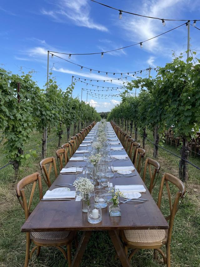 Agriturismo Almavite - 1