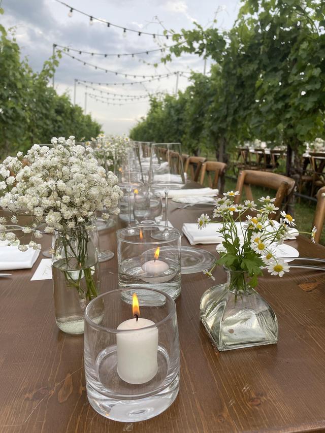 Agriturismo Almavite - 4