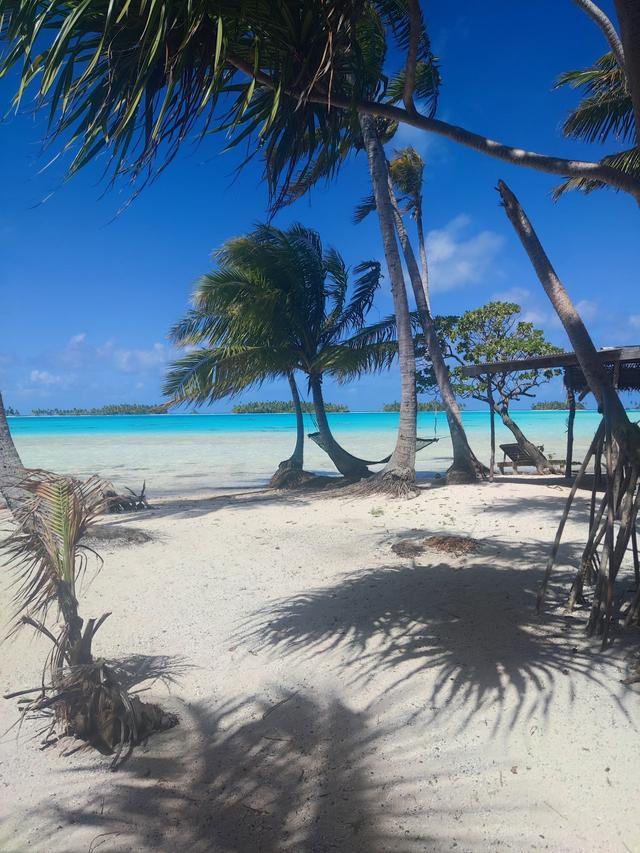 Sognando il Mondo - 2