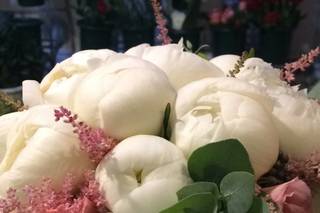 Il Giardino Incantato - 9