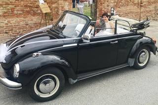 Maggiolone Piero - 8