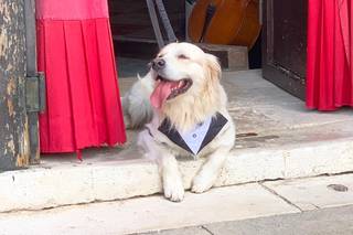 My Magic Moment - 12