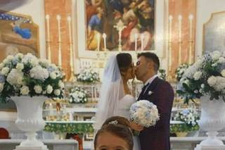 Falco fotografi - 18