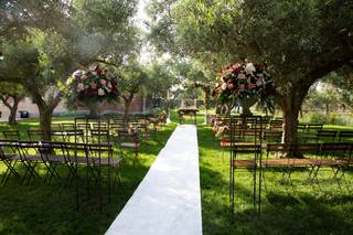 Kambe Eventi - 7