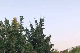 Eros Sposi - 6