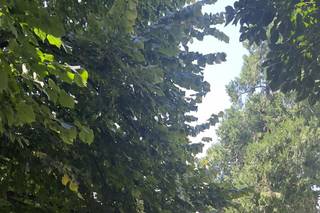 Swing me to the moon - 13