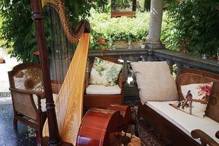Edion Music For Your Events - 5