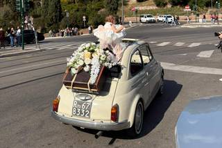 Eva Fiori e Piante - 18