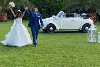 Opposti Perfetti - Maggiolini per Eventi - 24