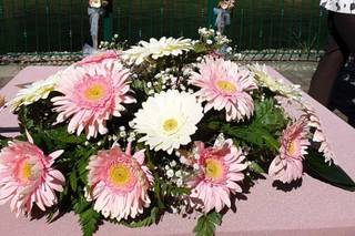 Agriturismo Rosaspina - 18