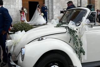 Opposti Perfetti - Maggiolini per Eventi - 25