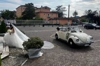 Opposti Perfetti - Maggiolini per Eventi - 26