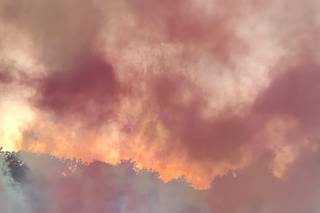 Party&Particolari Eventi - 11