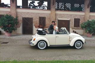 Live a Dream Limousine - 9