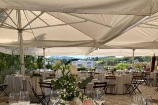 Gruppo Michelotti - 1