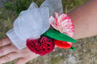 Il Giardino delle Idee - 11