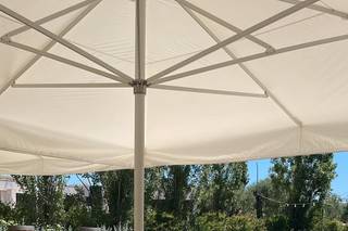 Gruppo Michelotti - 2