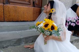 L'Oasi dei Fiori - 1