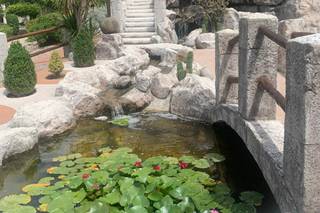 Villa Fiorentina - 6