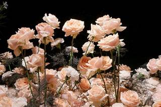 VDM Wedding & Event - 9