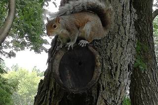 My Dream Viaggi - 24