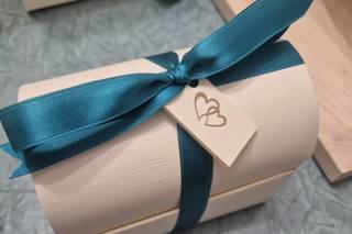 Coccinella Line - 6