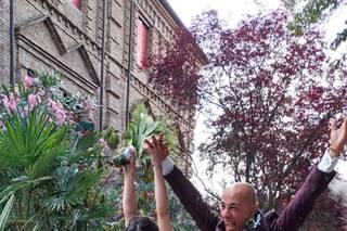 Villa Molza - 15