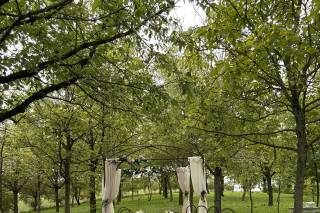 Raffaella Ferrari - 6