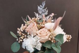 Johis Trockemblumen - 7