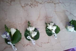 Treccani Fiori - 12