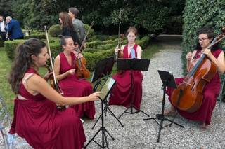 Quartetto Arabesque - 5