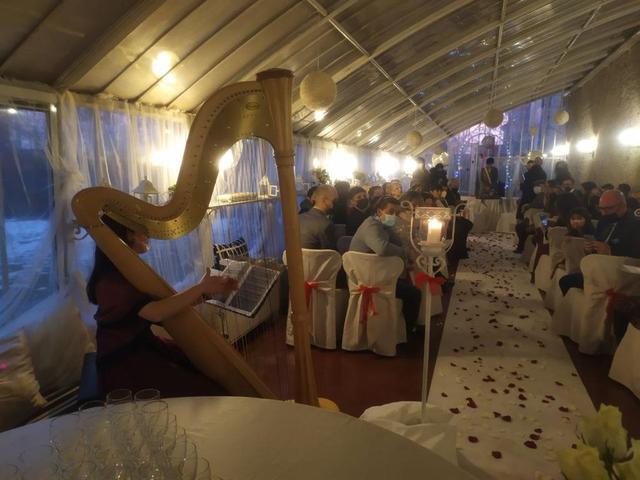 Giorgia Panasci Harpist - 1