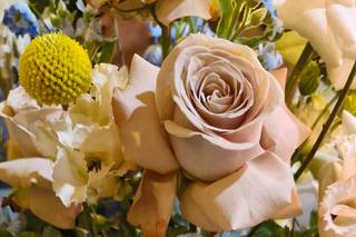 Villa delle Meraviglie - 16