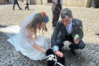Ila Wedding Dog Sitter - 5