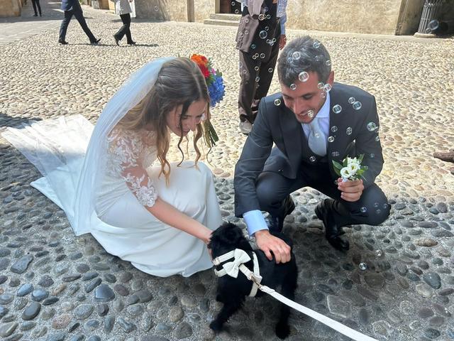 Ila Wedding Dog Sitter - 1