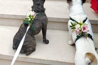 Casanatura Vivaio - 19