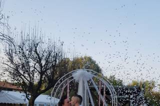 Agriturismo Tre Rondini - 15