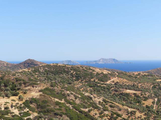 Colony Viaggi - 4