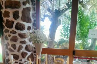 Ristorante da Renzo - 6