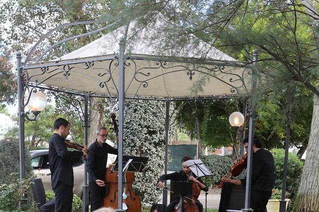 Novensemble Orchestra 5