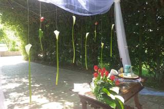 Tamara Cafagna Event Planner - 6