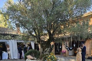 Villa San Nicola - 10