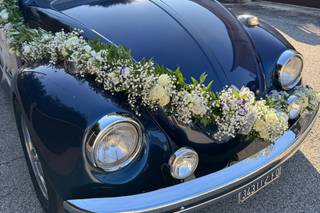 Manuel Giacometti - 4